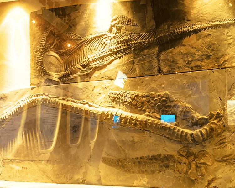 Guanling Fossil National Geopark