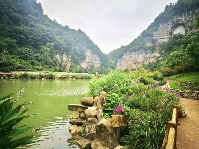 Longli Monkey Valley