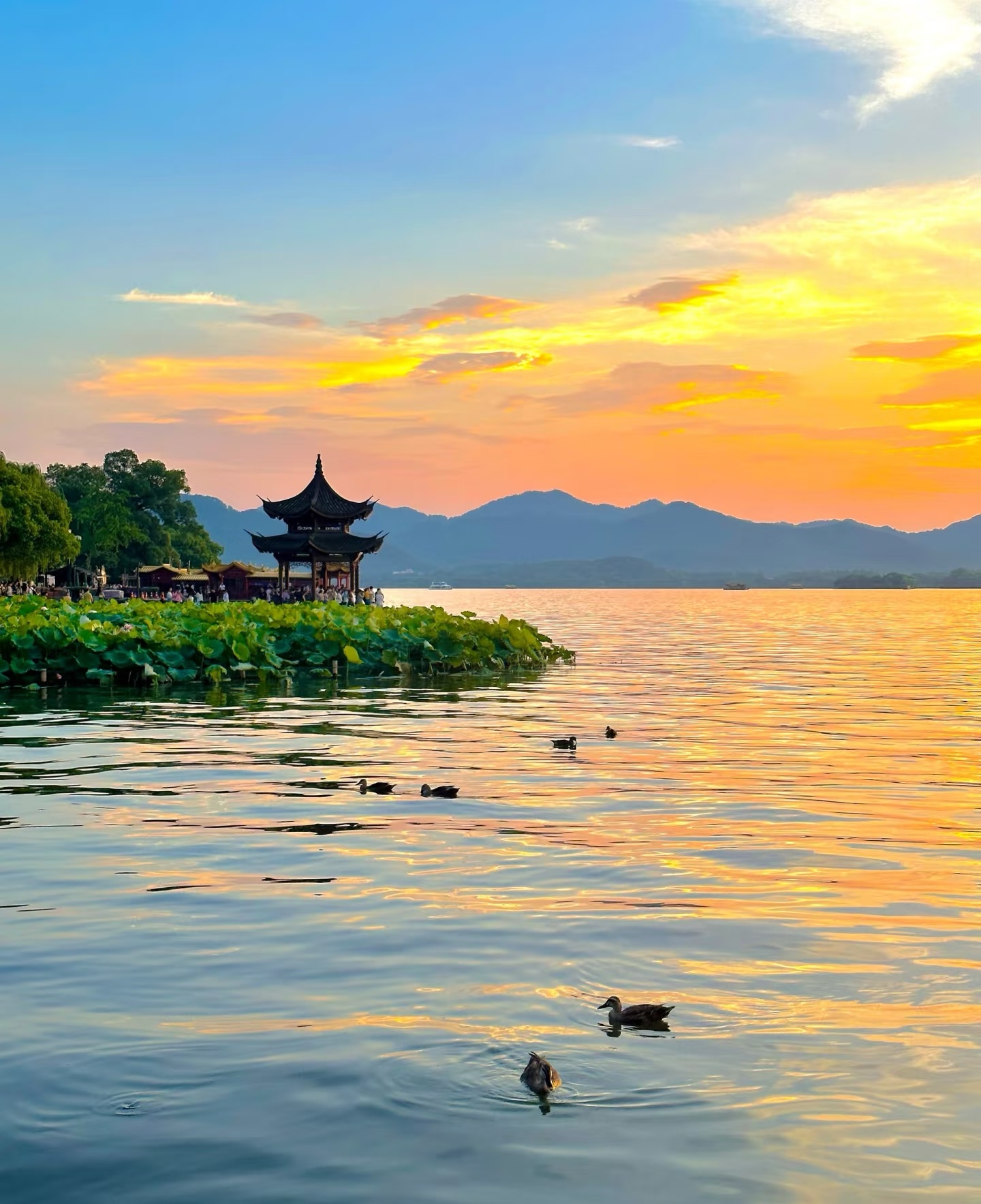 Gallery thumbnail 10