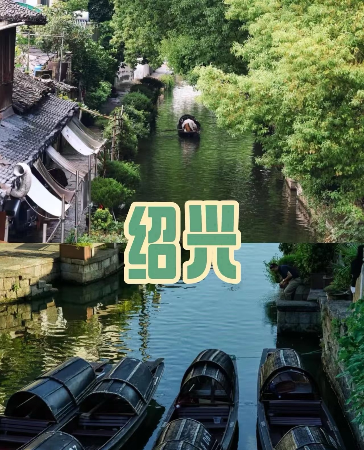 Gallery thumbnail 10