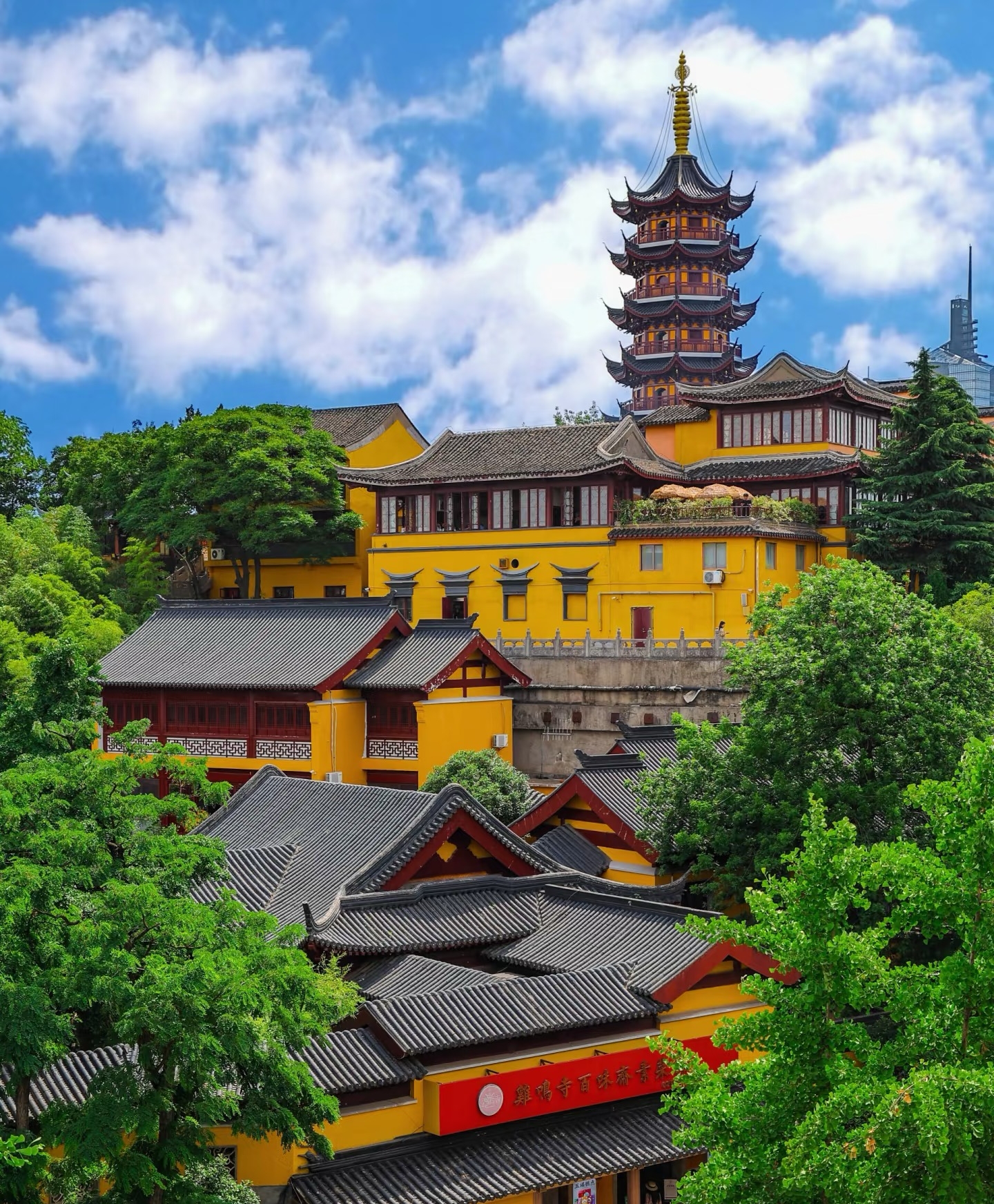 Gallery thumbnail 12