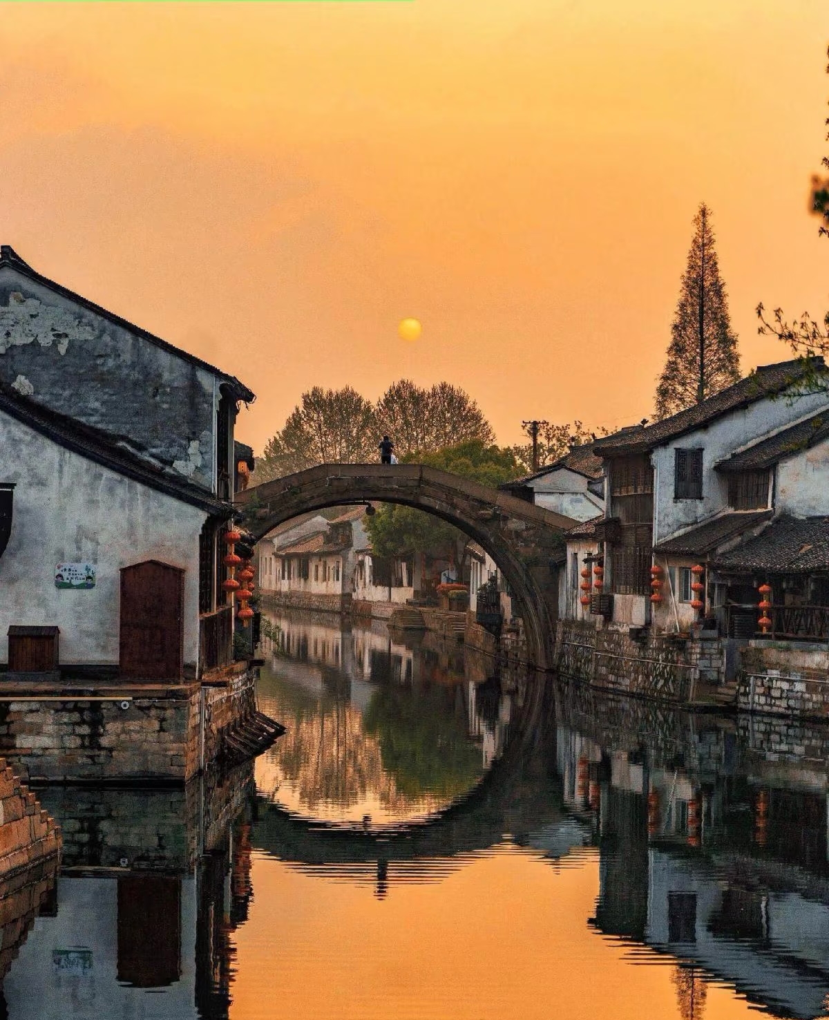 Gallery thumbnail 12