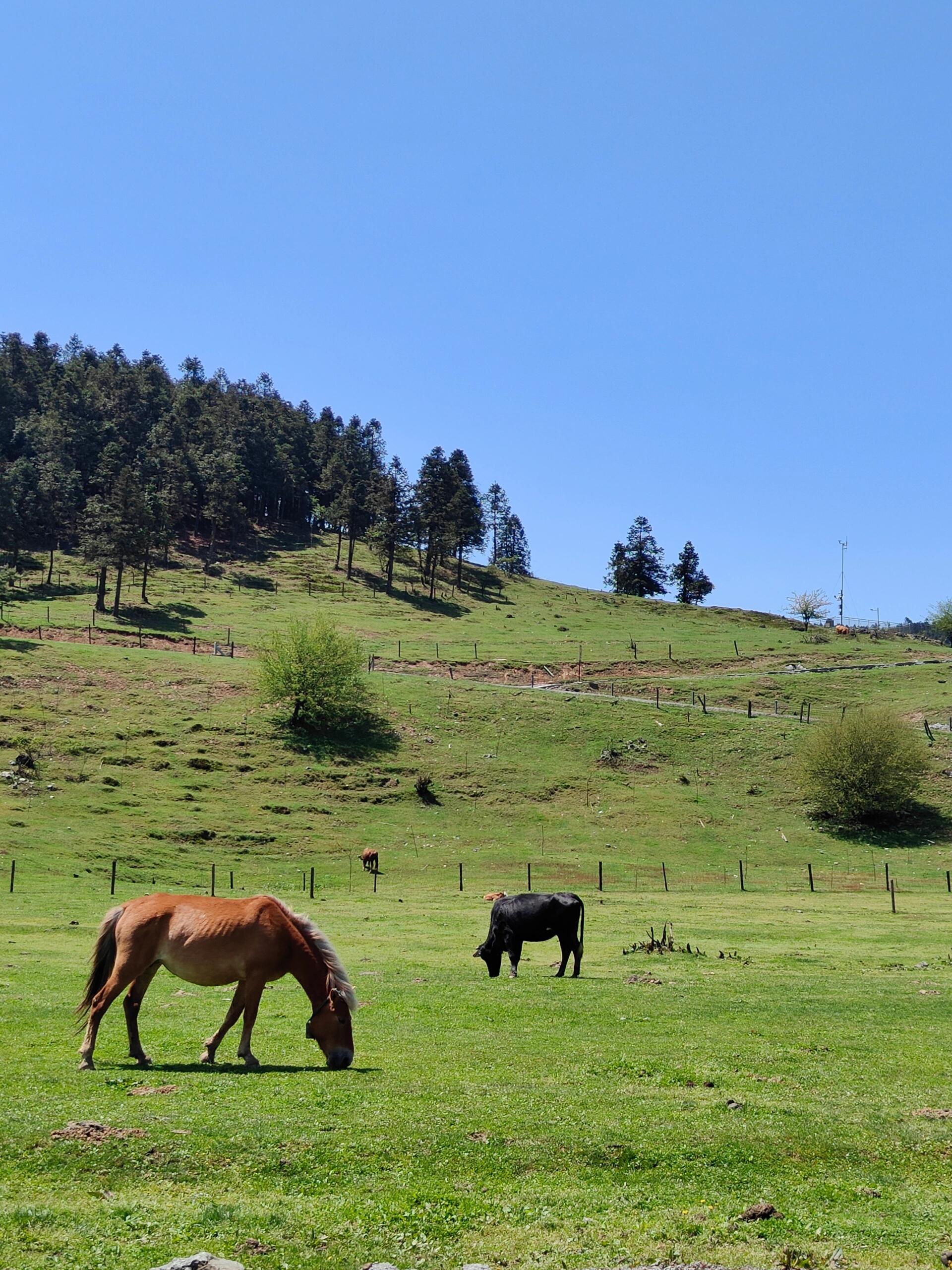 Fairy Mountain National Forest Park