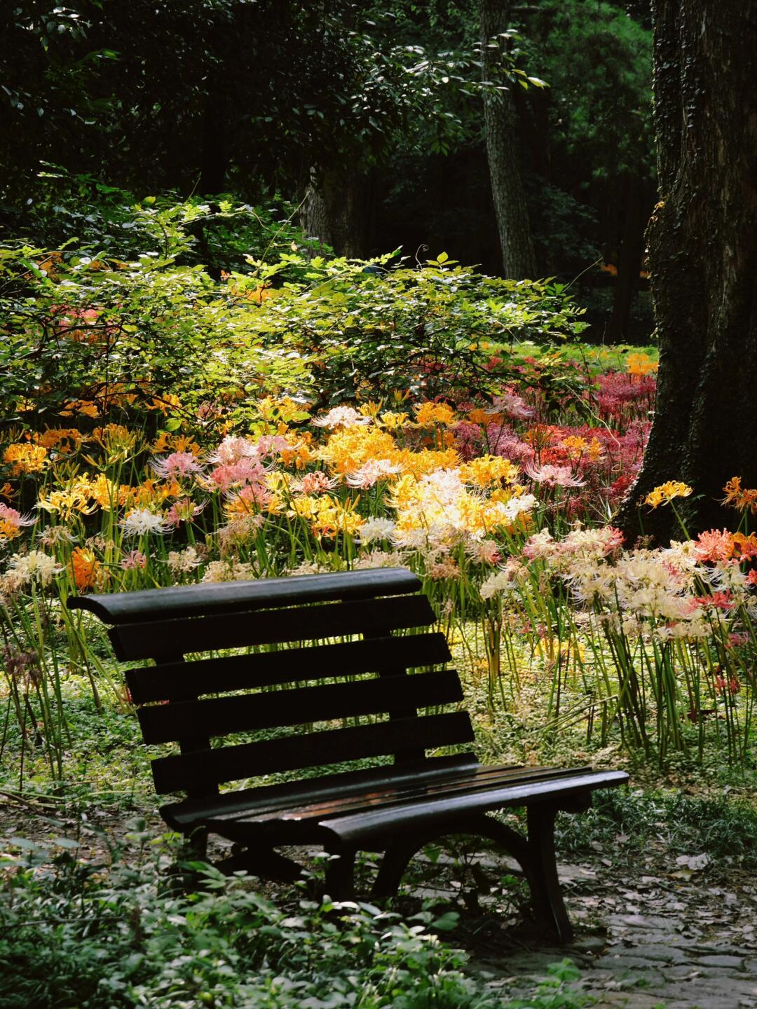 Hangzhou Botanical Garden