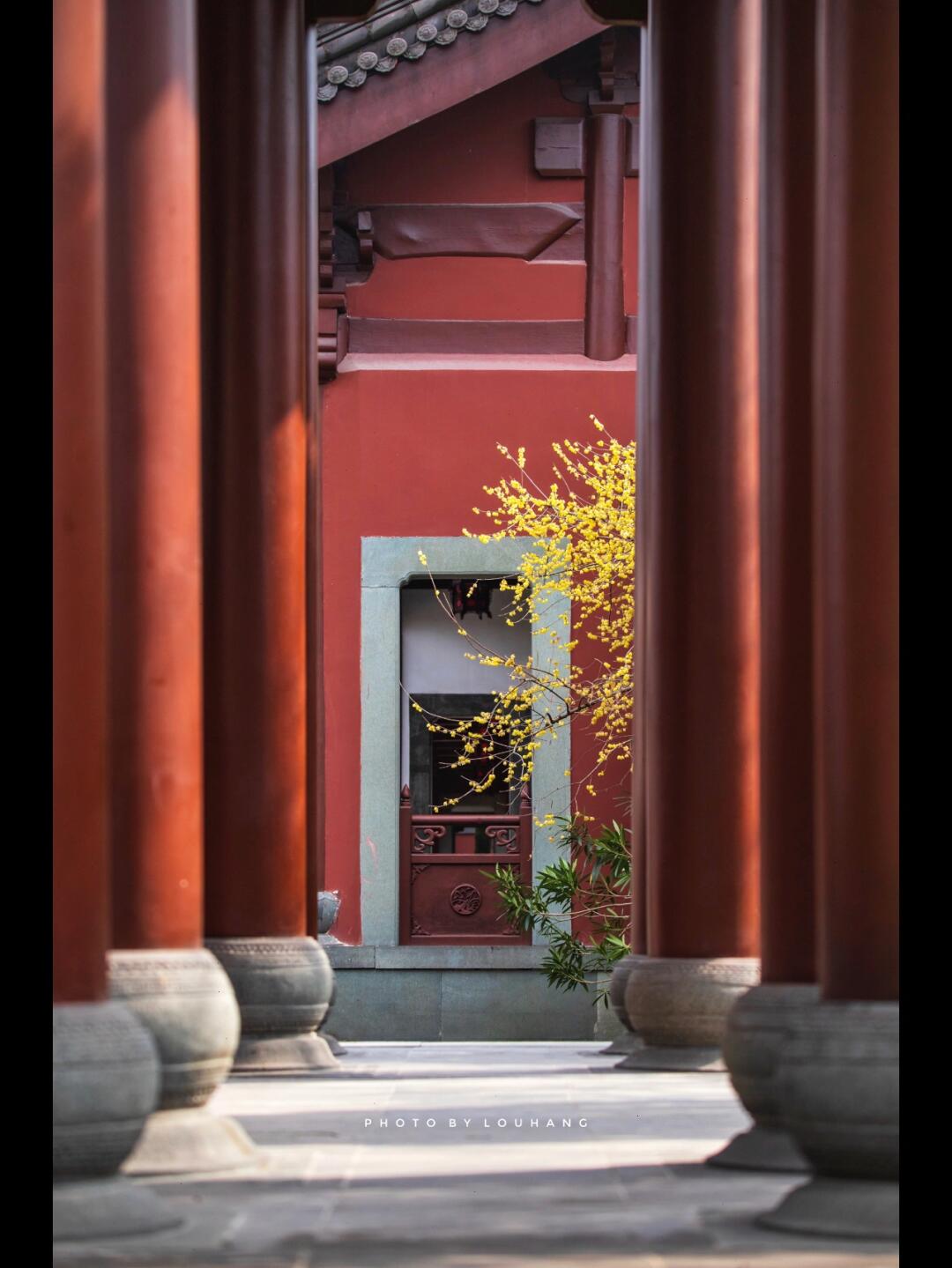 Gallery thumbnail 2