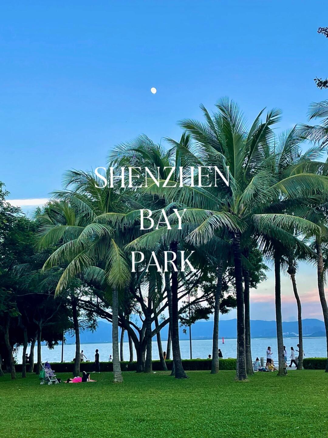 Shenzhen Bay Park