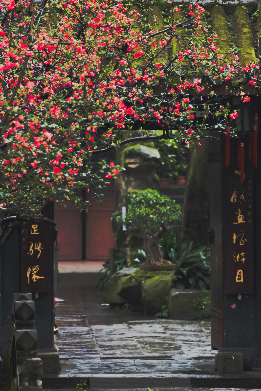 Gallery thumbnail 10