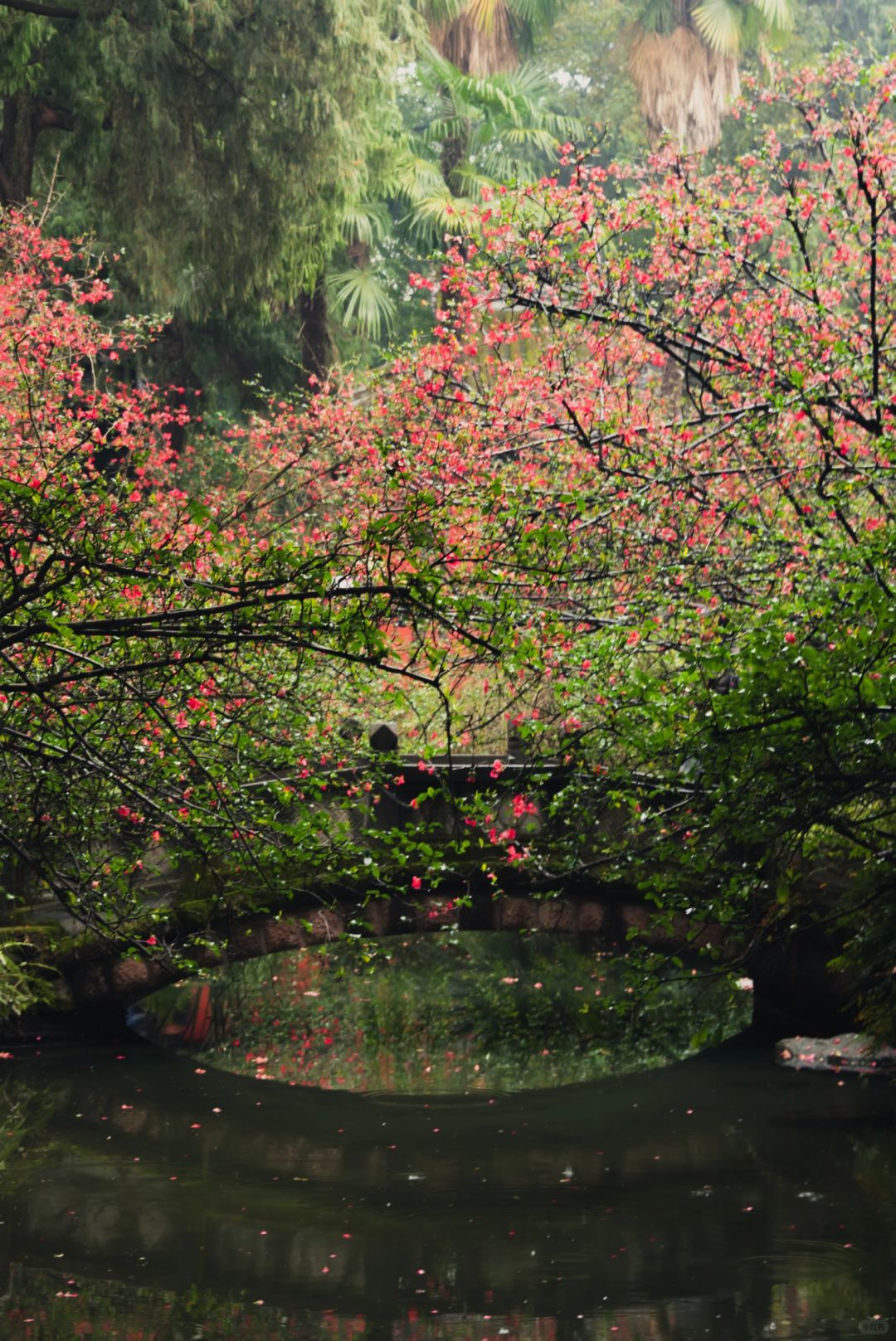 Gallery thumbnail 11