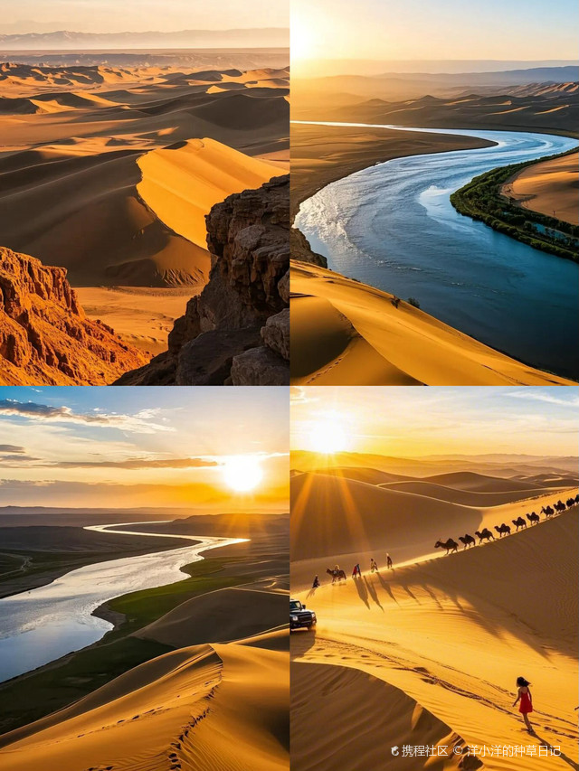 Gallery thumbnail 11