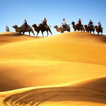 Shapotou Scenic Area