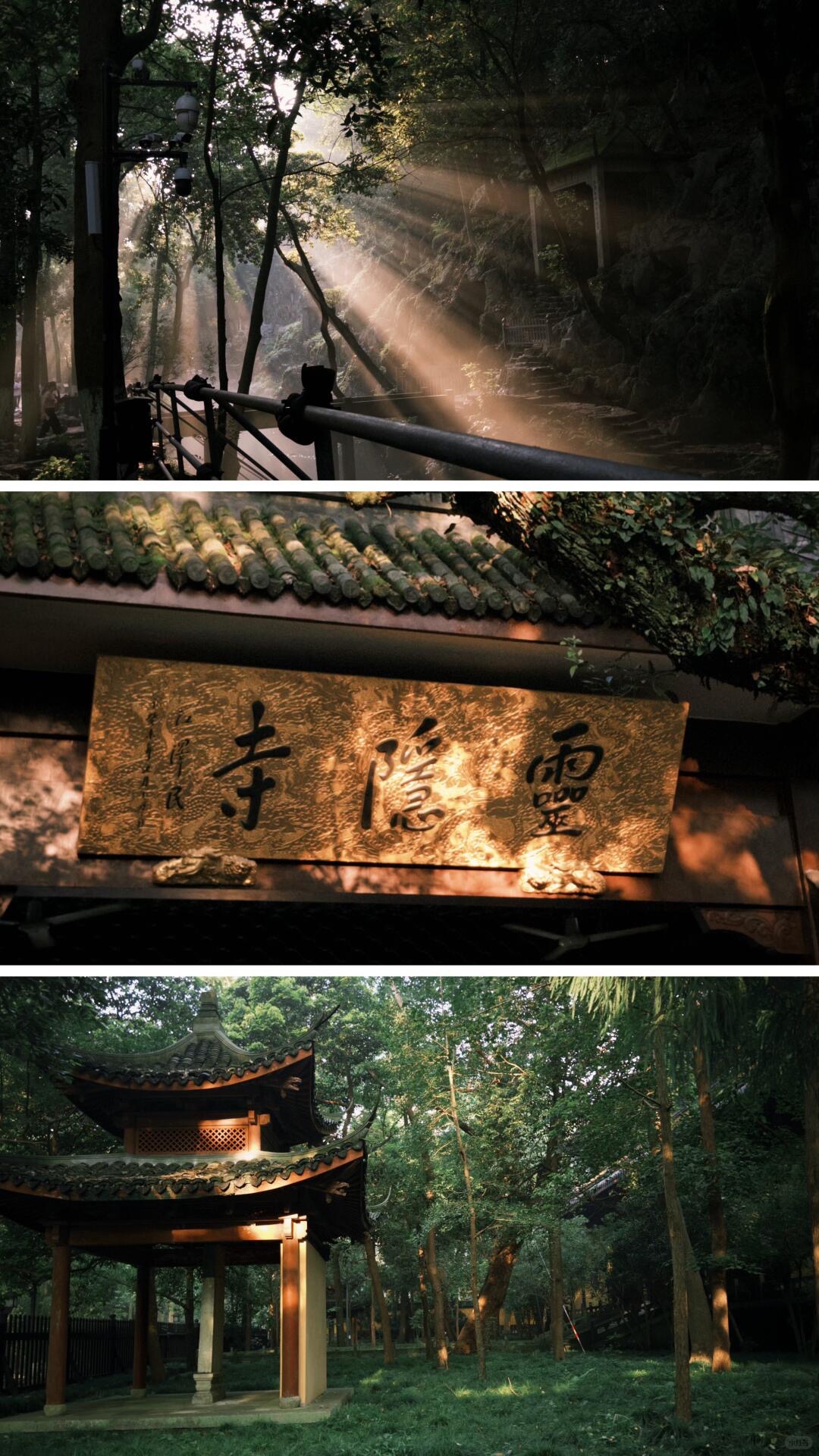Gallery thumbnail 10