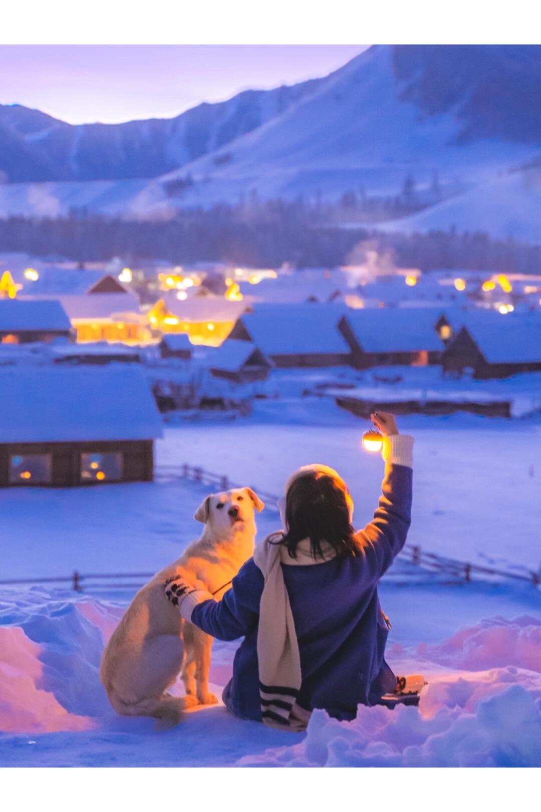 Gallery thumbnail 15