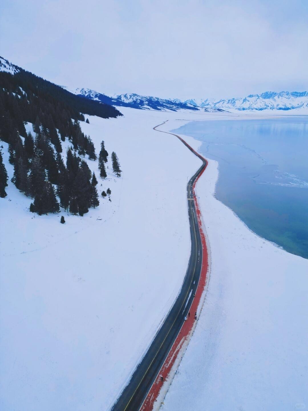 Gallery thumbnail 11