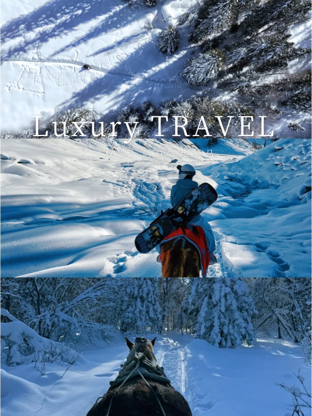 Gallery thumbnail 16