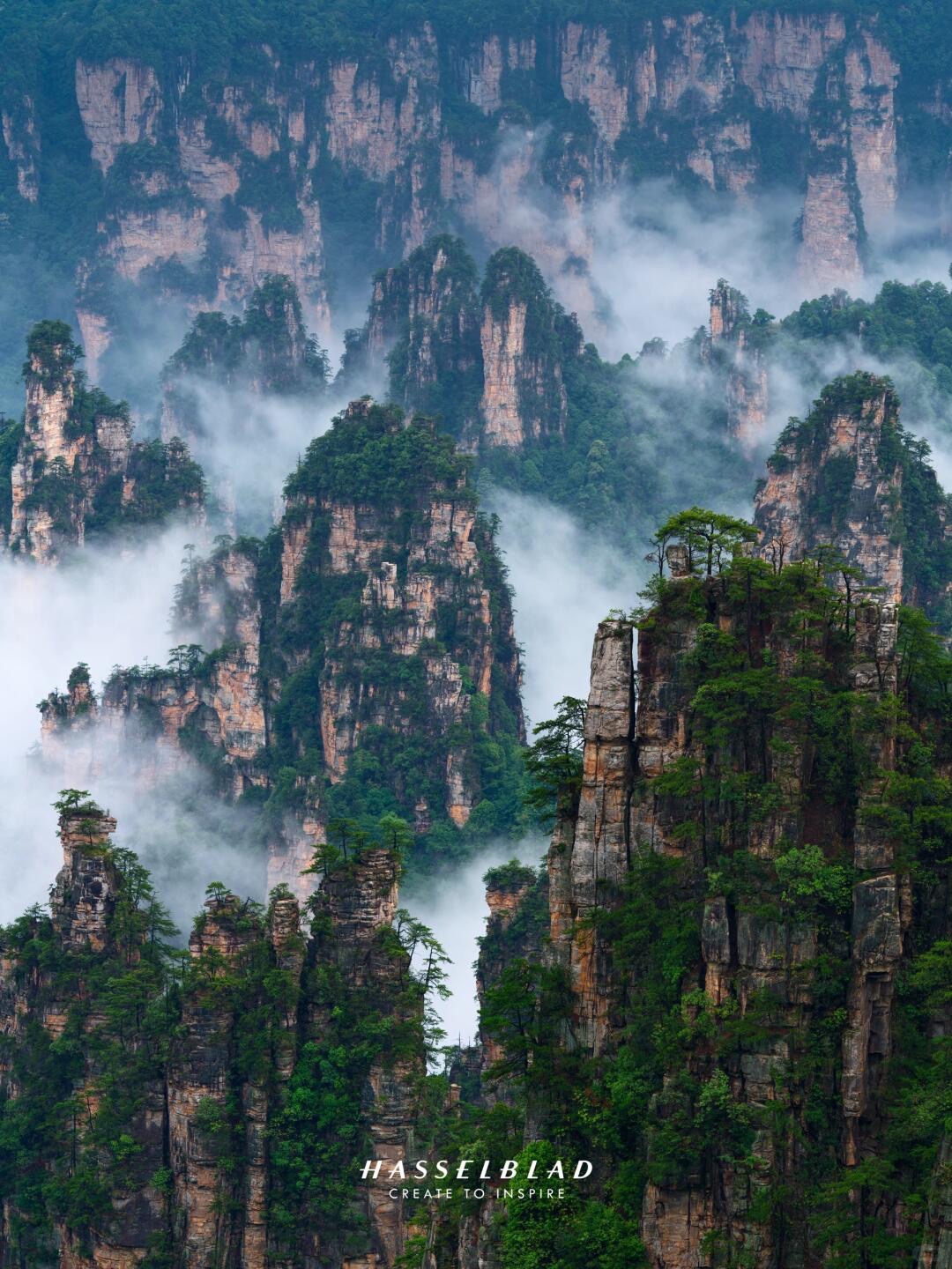 China Odyssey Natural Wonders & Urban Charm