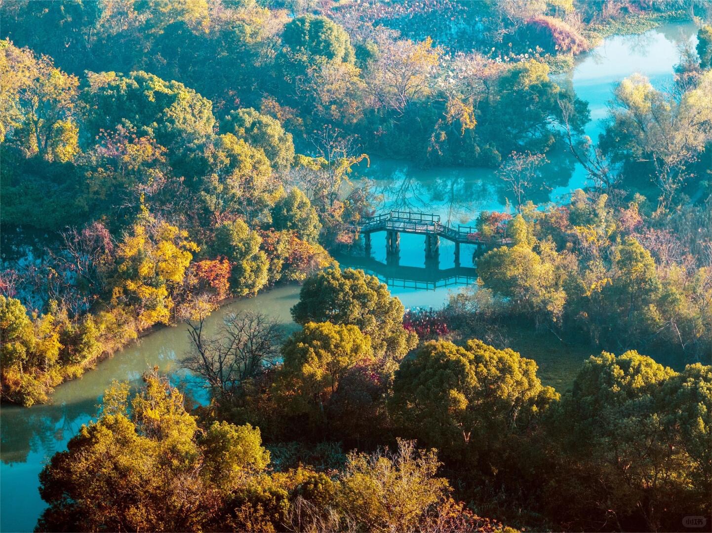Xixi National Wetland Park